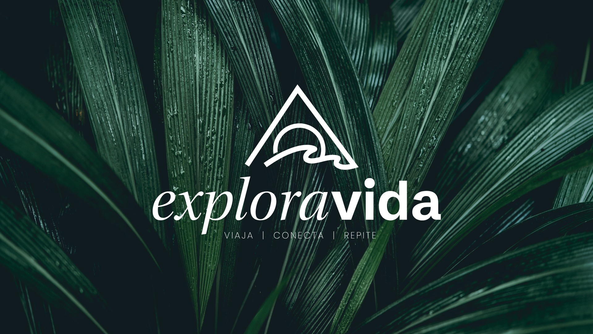 Logo ExploraVida Travel